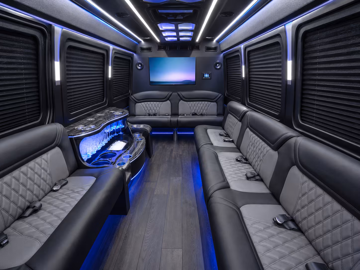 hendersonville sprinter limousine inside
