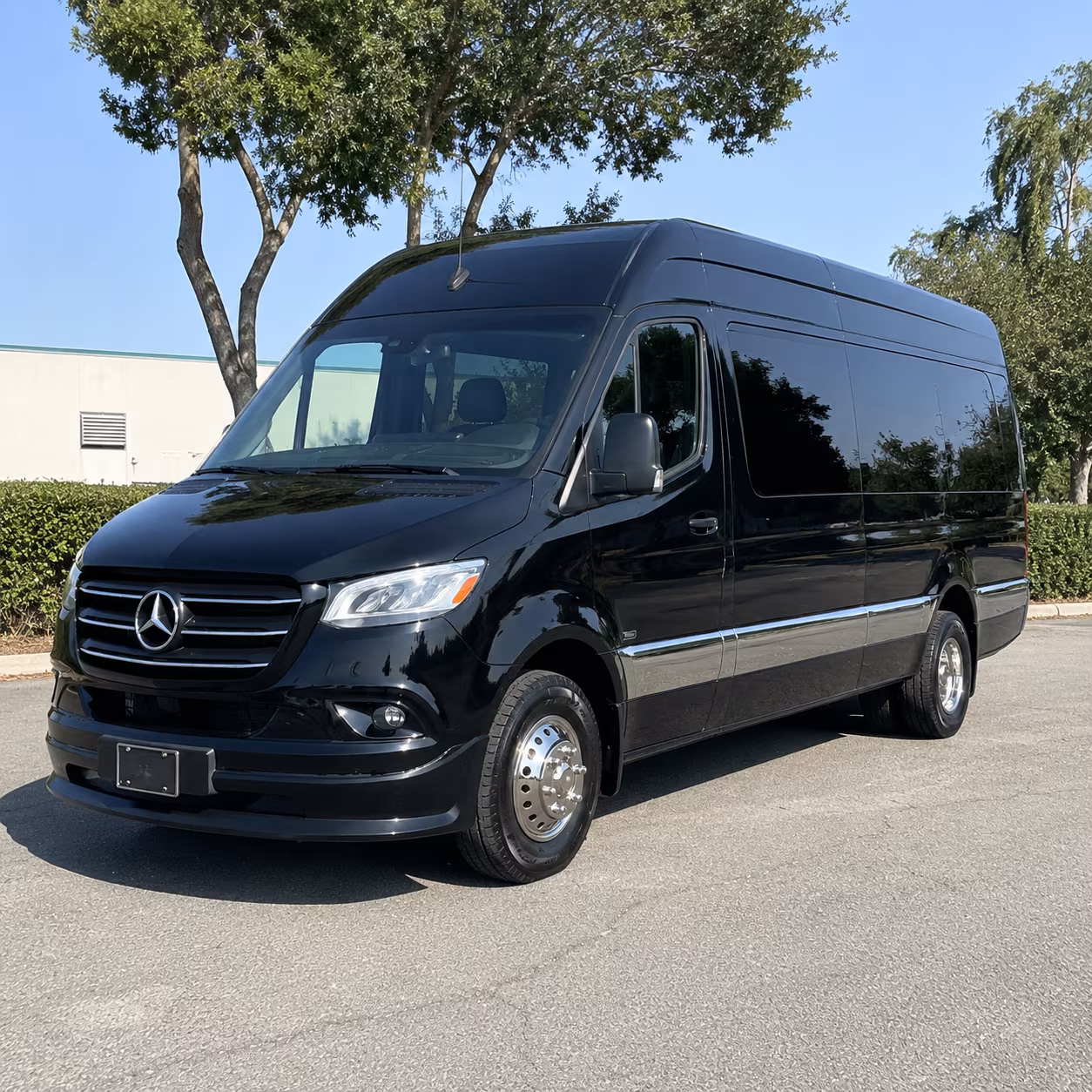 hendersonville sprinter limousine
