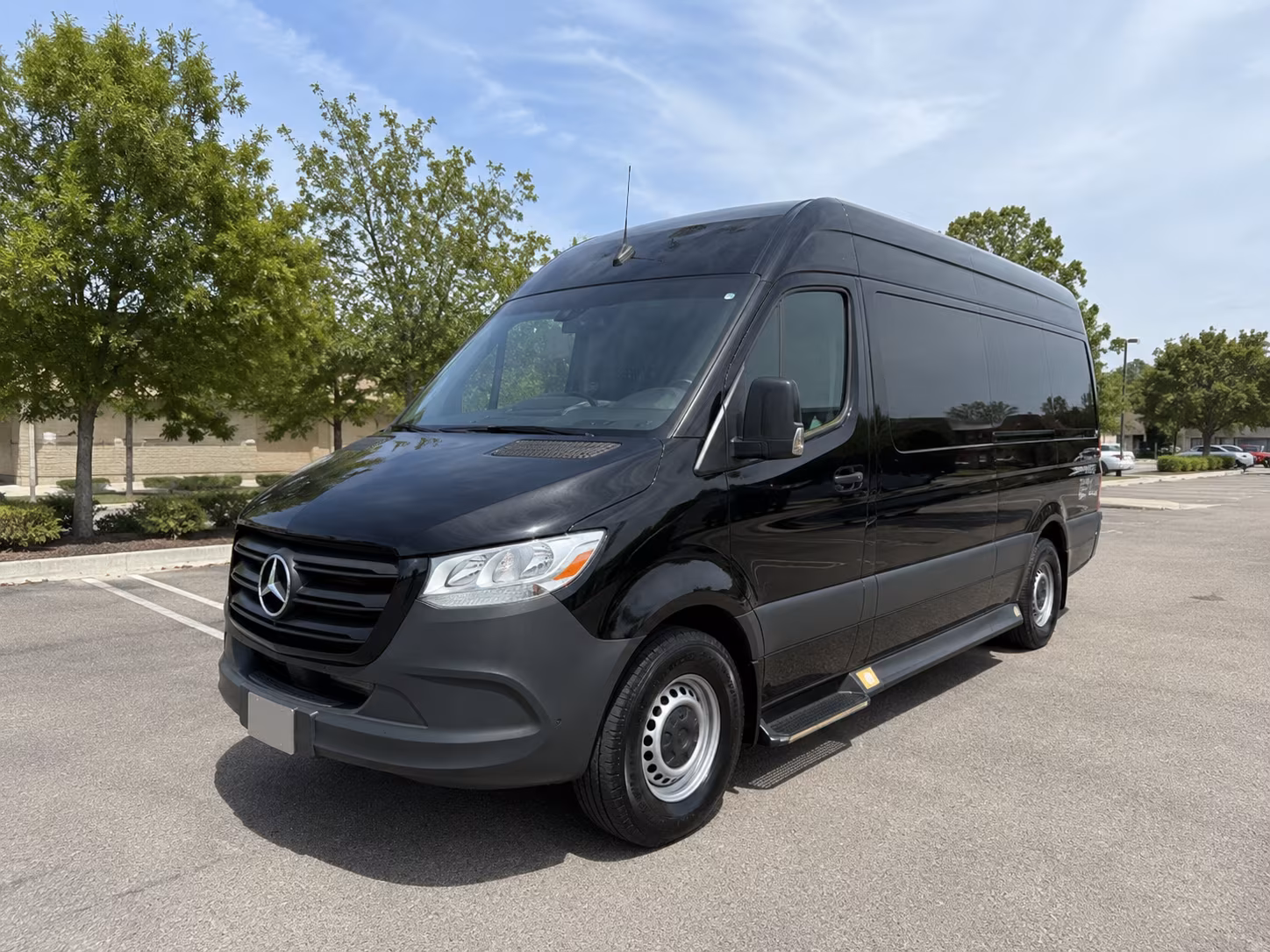 hendersonville sprinter van with driver
